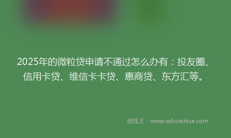 2025年的微粒贷申请不通过怎么办有：投友圈、信用卡贷、维信卡卡贷、惠商贷、东方汇等。