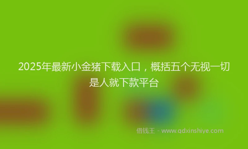 2025年最新小金猪下载入口，概括五个无视一切是人就下款平台