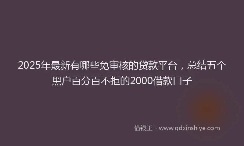 2025年最新有哪些免审核的贷款平台，总结五个黑户百分百不拒的2000借款口子