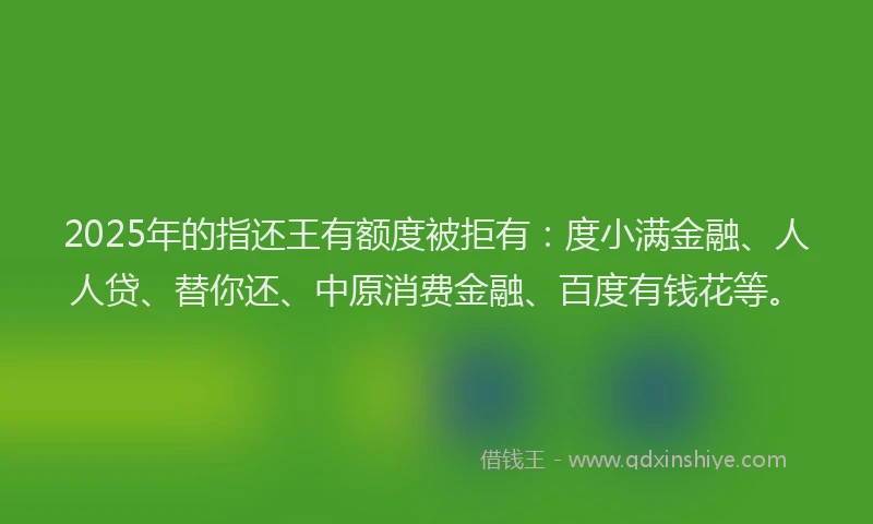 2025年的指还王有额度被拒有：度小满金融、人人贷、替你还、中原消费金融、百度有钱花等。