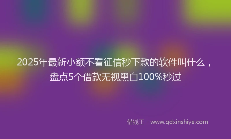 2025年最新小额不看征信秒下款的软件叫什么，盘点5个借款无视黑白100%秒过