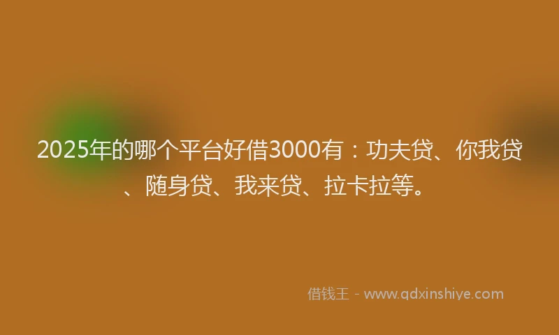 2025年的哪个平台好借3000有：功夫贷、你我贷、随身贷、我来贷、拉卡拉等。