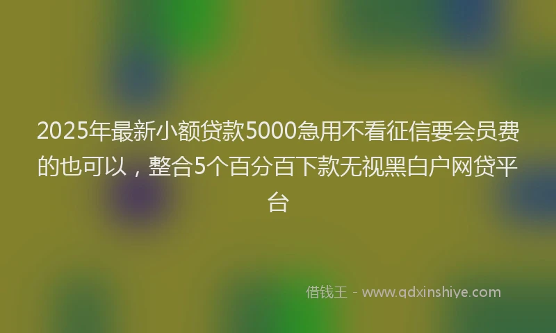 2025年最新小额贷款5000急用不看征信要会员费的也可以，整合5个百分百下款无视黑白户网贷平台