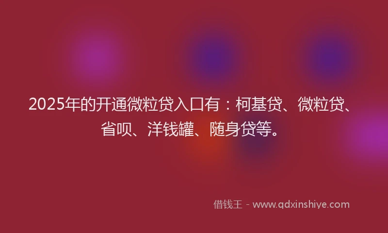 2025年的开通微粒贷入口有：柯基贷、微粒贷、省呗、洋钱罐、随身贷等。