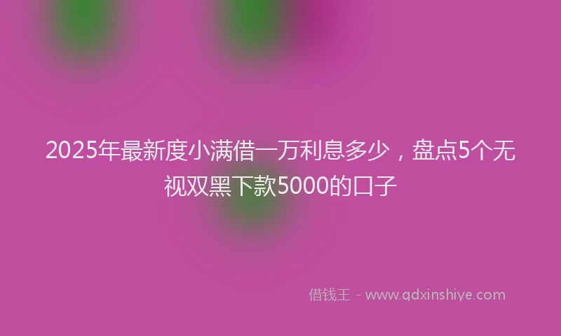2025年最新度小满借一万利息多少，盘点5个无视双黑下款5000的口子