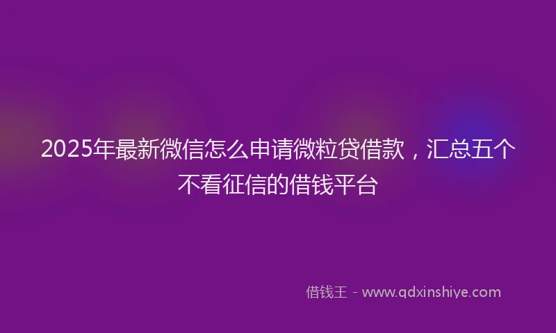 2025年最新微信怎么申请微粒贷借款，汇总五个不看征信的借钱平台