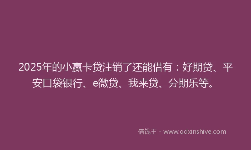 2025年的小赢卡贷注销了还能借有：好期贷、平安口袋银行、e微贷、我来贷、分期乐等。