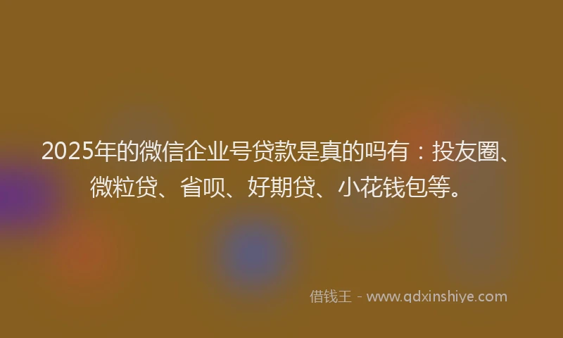 2025年的微信企业号贷款是真的吗有：投友圈、微粒贷、省呗、好期贷、小花钱包等。