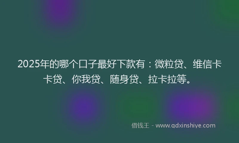 2025年的哪个口子最好下款有：微粒贷、维信卡卡贷、你我贷、随身贷、拉卡拉等。