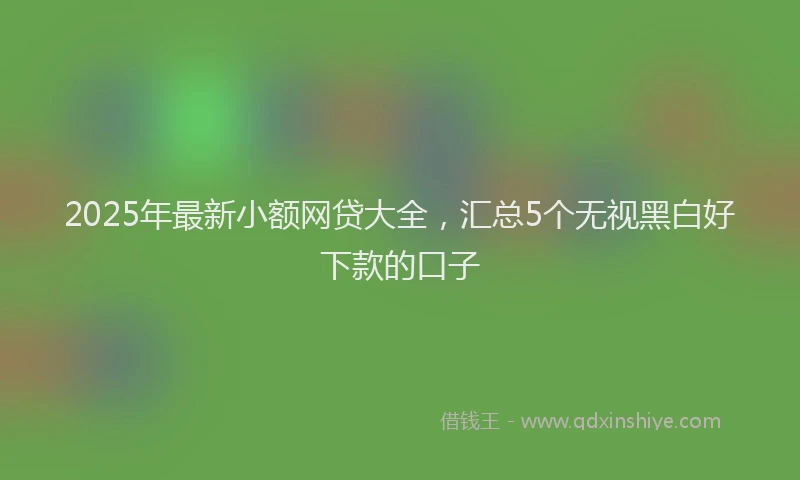 2025年最新小额网贷大全，汇总5个无视黑白好下款的口子