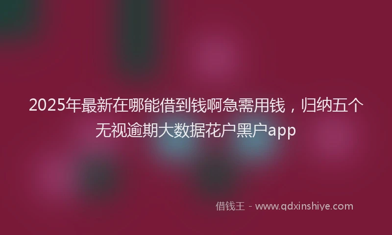 2025年最新在哪能借到钱啊急需用钱，归纳五个无视逾期大数据花户黑户app
