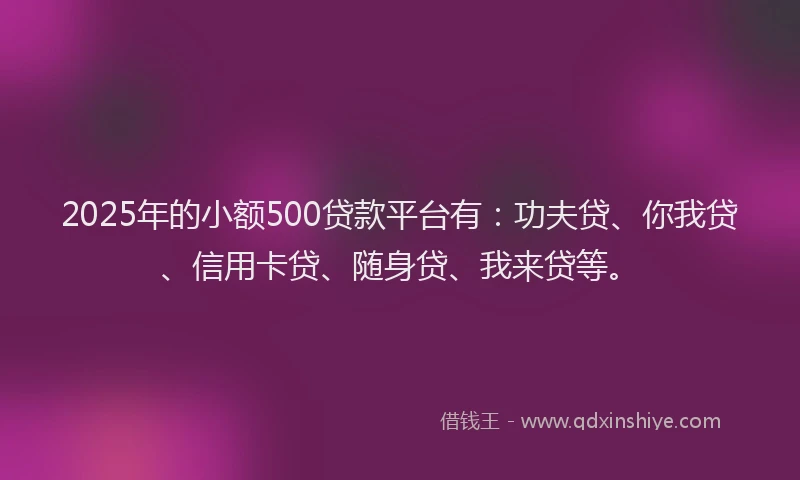 2025年的小额500贷款平台有：功夫贷、你我贷、信用卡贷、随身贷、我来贷等。