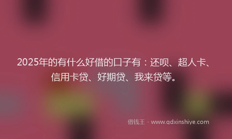 2025年的有什么好借的口子有：还呗、超人卡、信用卡贷、好期贷、我来贷等。