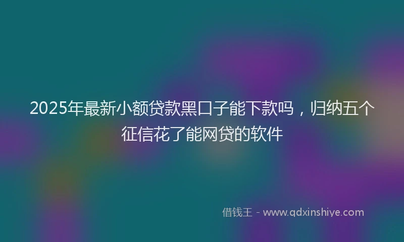 2025年最新小额贷款黑口子能下款吗，归纳五个征信花了能网贷的软件