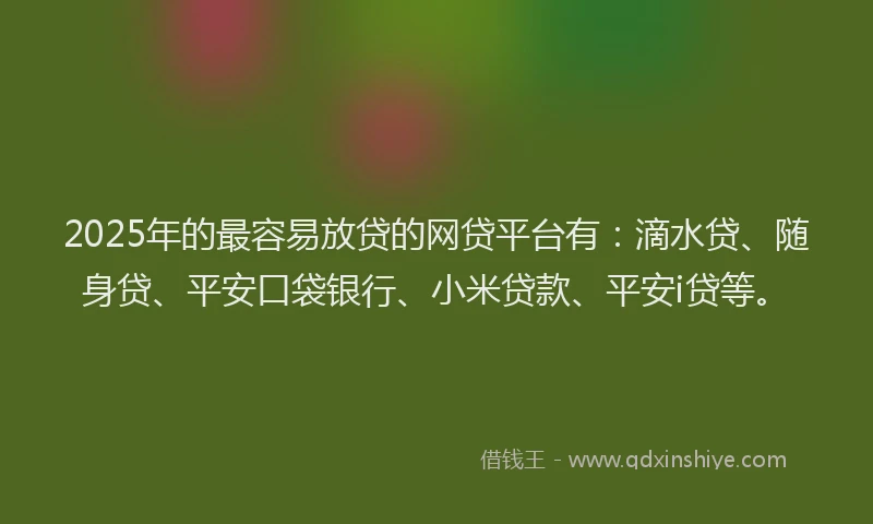 2025年的最容易放贷的网贷平台有：滴水贷、随身贷、平安口袋银行、小米贷款、平安i贷等。