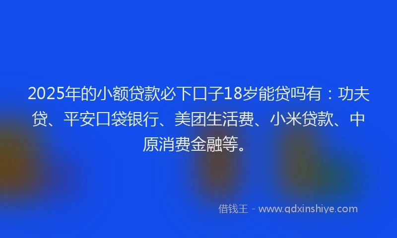 2025年的小额贷款必下口子18岁能贷吗有：功夫贷、平安口袋银行、美团生活费、小米贷款、中原消费金融等。