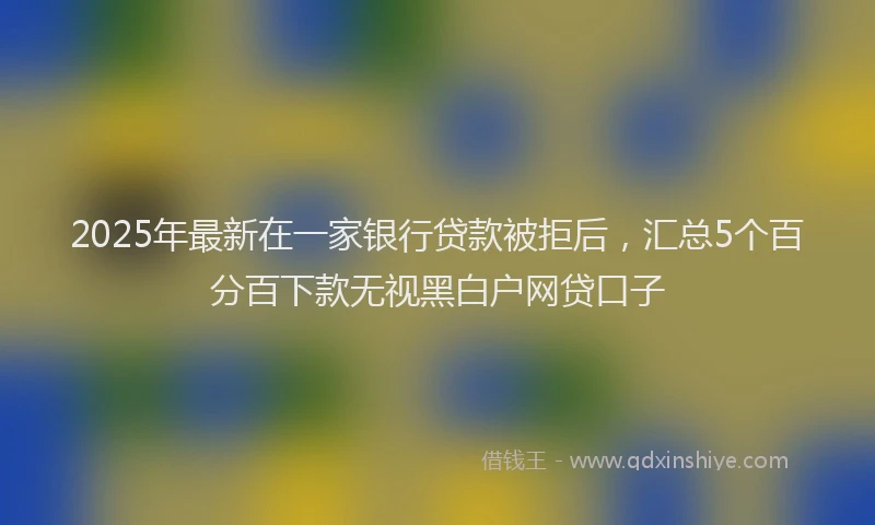 2025年最新在一家银行贷款被拒后，汇总5个百分百下款无视黑白户网贷口子