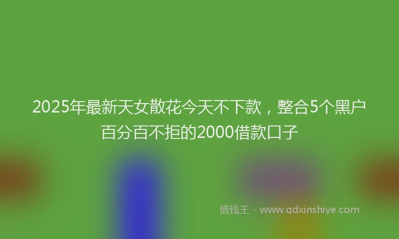 2025年最新天女散花今天不下款，整合5个黑户百分百不拒的2000借款口子
