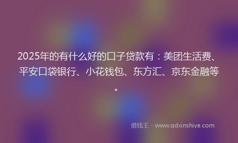 2025年的有什么好的口子贷款有：美团生活费、平安口袋银行、小花钱包、东方汇、京东金融等。