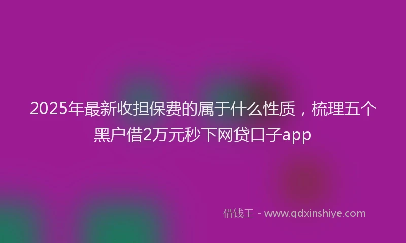 2025年最新收担保费的属于什么性质，梳理五个黑户借2万元秒下网贷口子app