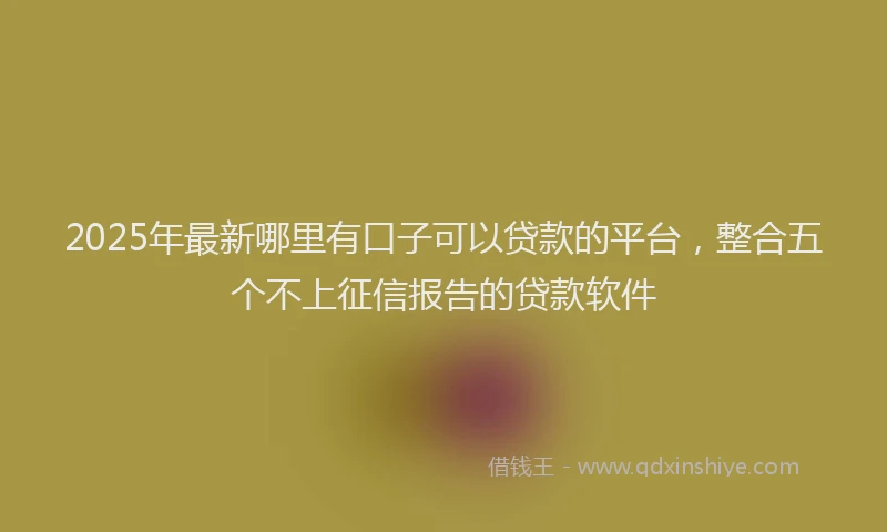 2025年最新哪里有口子可以贷款的平台，整合五个不上征信报告的贷款软件