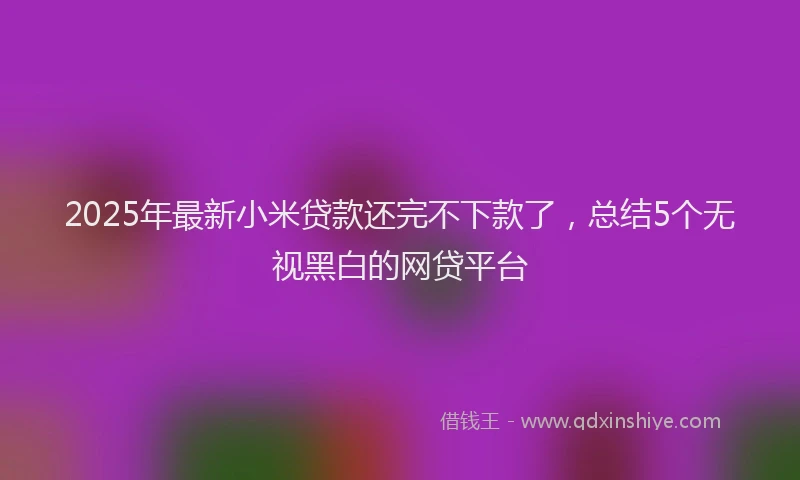 2025年最新小米贷款还完不下款了，总结5个无视黑白的网贷平台