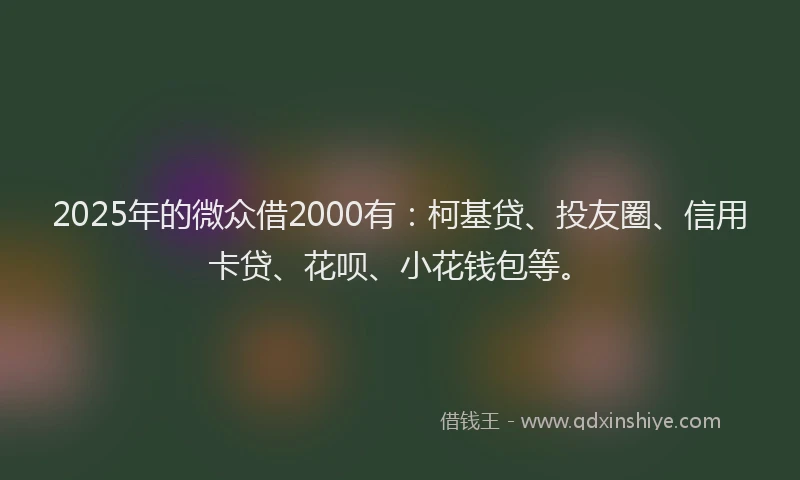 2025年的微众借2000有：柯基贷、投友圈、信用卡贷、花呗、小花钱包等。