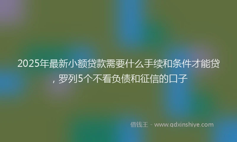 2025年最新小额贷款需要什么手续和条件才能贷，罗列5个不看负债和征信的口子
