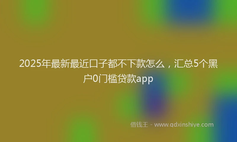 2025年最新最近口子都不下款怎么，汇总5个黑户0门槛贷款app