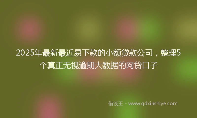 2025年最新最近易下款的小额贷款公司，整理5个真正无视逾期大数据的网贷口子