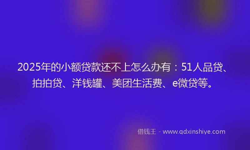 2025年的小额贷款还不上怎么办有：51人品贷、拍拍贷、洋钱罐、美团生活费、e微贷等。