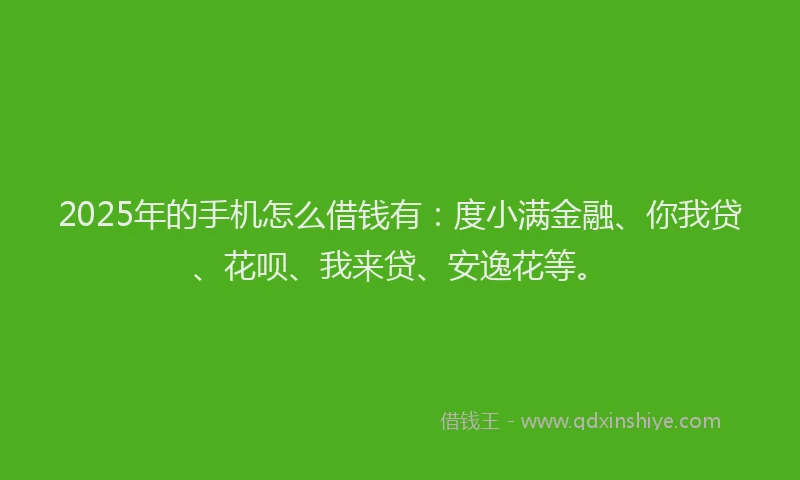 2025年的手机怎么借钱有：度小满金融、你我贷、花呗、我来贷、安逸花等。