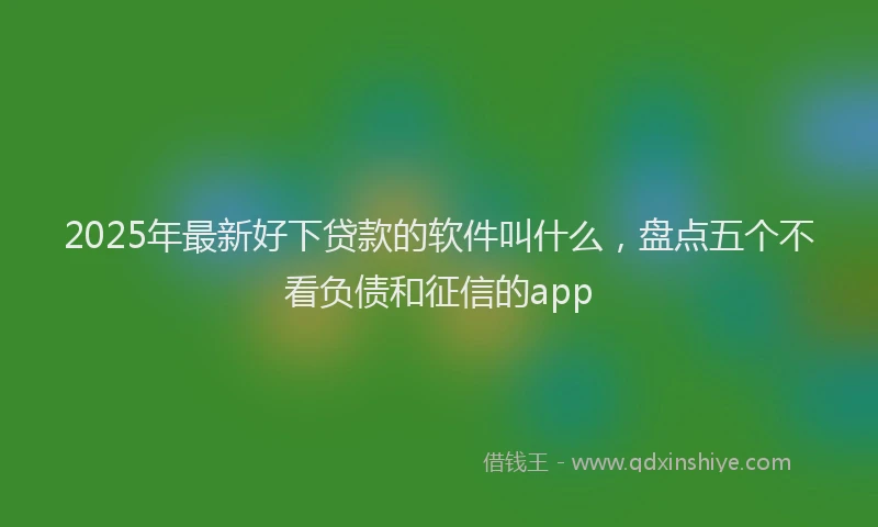 2025年最新好下贷款的软件叫什么，盘点五个不看负债和征信的app