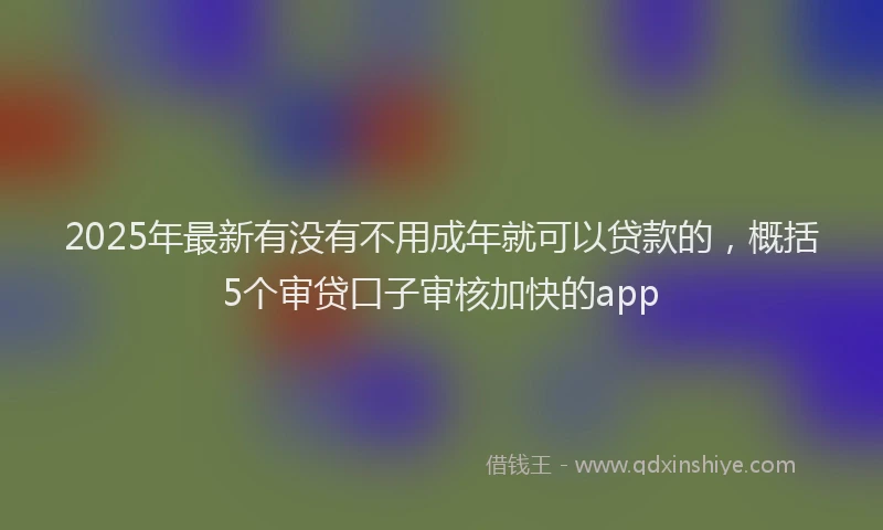 2025年最新有没有不用成年就可以贷款的，概括5个审贷口子审核加快的app