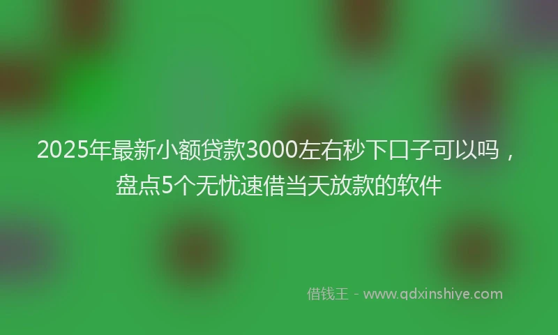 2025年最新小额贷款3000左右秒下口子可以吗，盘点5个无忧速借当天放款的软件