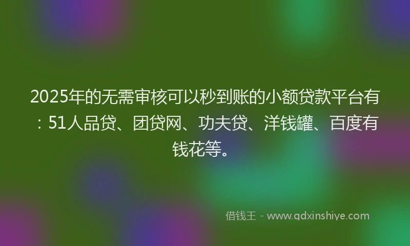 2025年的无需审核可以秒到账的小额贷款平台有：51人品贷、团贷网、功夫贷、洋钱罐、百度有钱花等。