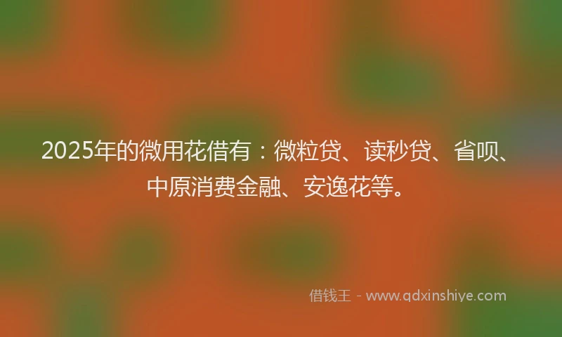 2025年的微用花借有：微粒贷、读秒贷、省呗、中原消费金融、安逸花等。