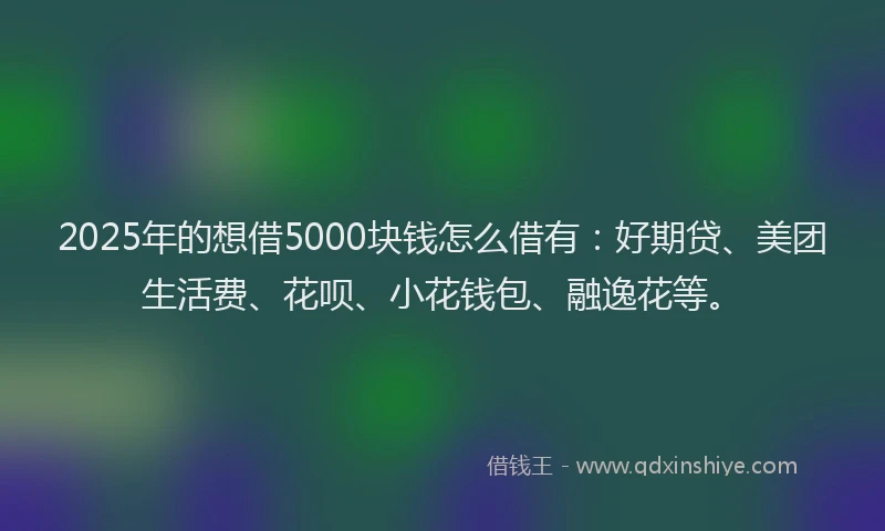 2025年的想借5000块钱怎么借有：好期贷、美团生活费、花呗、小花钱包、融逸花等。