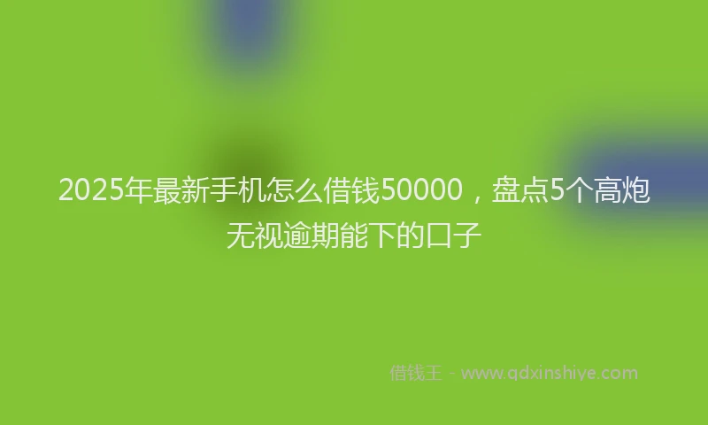 2025年最新手机怎么借钱50000，盘点5个高炮无视逾期能下的口子