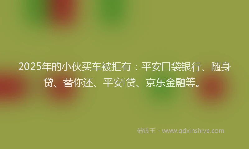 2025年的小伙买车被拒有：平安口袋银行、随身贷、替你还、平安i贷、京东金融等。