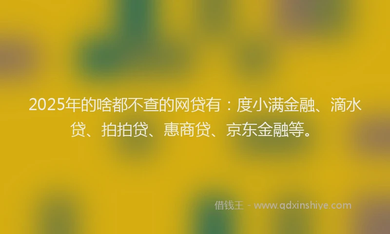 2025年的啥都不查的网贷有：度小满金融、滴水贷、拍拍贷、惠商贷、京东金融等。