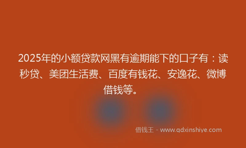 2025年的小额贷款网黑有逾期能下的口子有：读秒贷、美团生活费、百度有钱花、安逸花、微博借钱等。