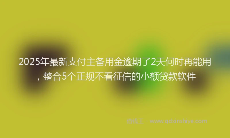 2025年最新支付主备用金逾期了2天何时再能用，整合5个正规不看征信的小额贷款软件
