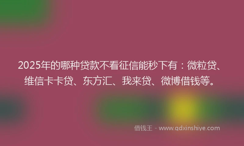 2025年的哪种贷款不看征信能秒下有：微粒贷、维信卡卡贷、东方汇、我来贷、微博借钱等。