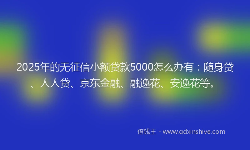 2025年的无征信小额贷款5000怎么办有：随身贷、人人贷、京东金融、融逸花、安逸花等。