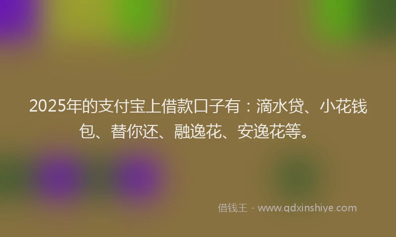 2025年的支付宝上借款口子有：滴水贷、小花钱包、替你还、融逸花、安逸花等。