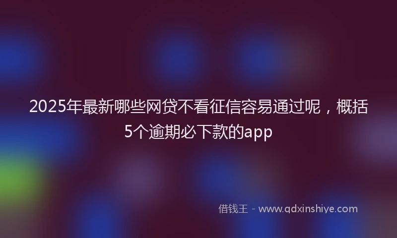 2025年最新哪些网贷不看征信容易通过呢，概括5个逾期必下款的app