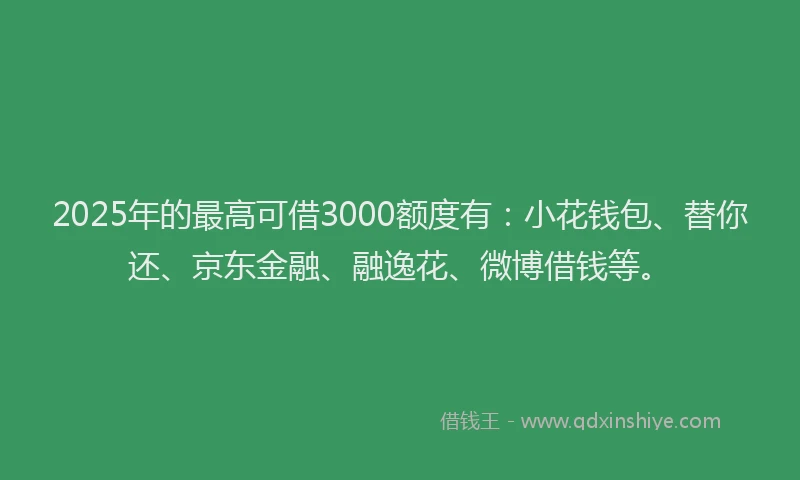 2025年的最高可借3000额度有：小花钱包、替你还、京东金融、融逸花、微博借钱等。