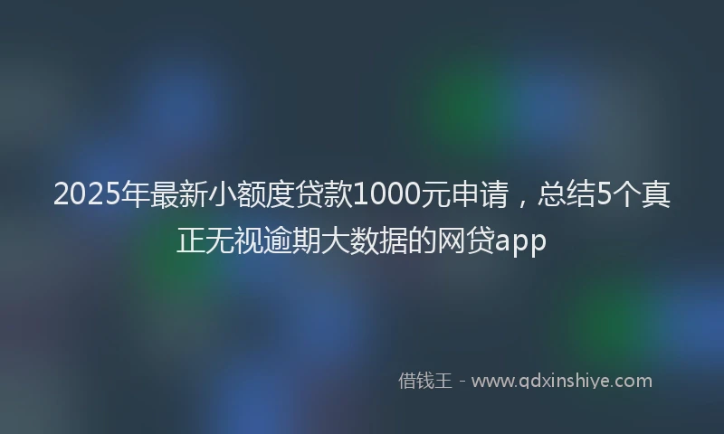 2025年最新小额度贷款1000元申请，总结5个真正无视逾期大数据的网贷app