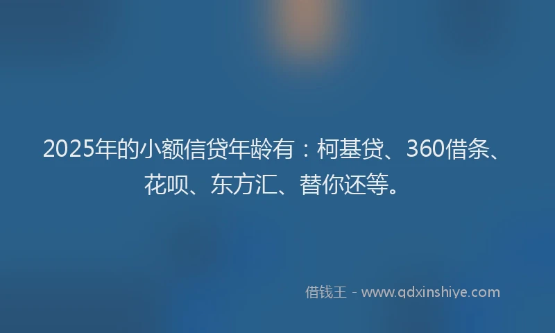 2025年的小额信贷年龄有：柯基贷、360借条、花呗、东方汇、替你还等。